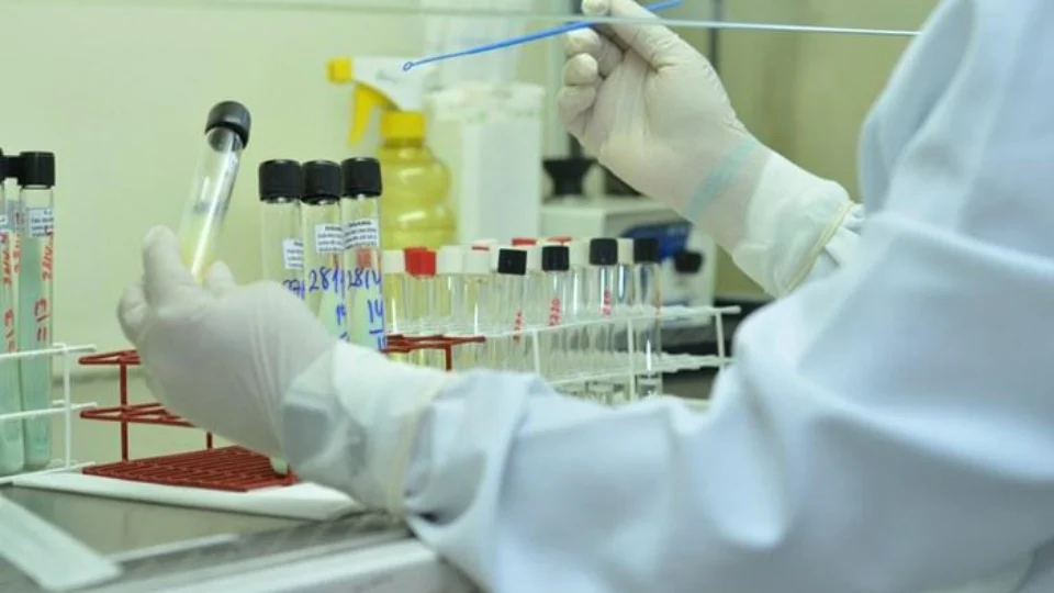 Vacina desenvolvida nos EUA poderá impedir propagação do coronavírus