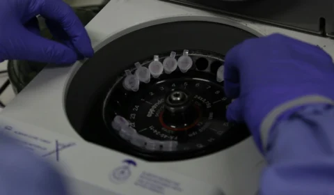 Coronavírus: cientistas britânicos começam a testar vacina em ratos