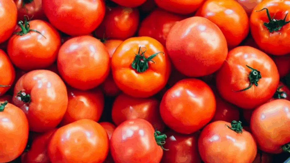 Preço da cesta básica aumenta em 15 capitais neste mês de março