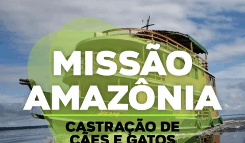 Mega mutirão de castração de cães e gatos deve atender comunidades ribeirinhas do Amazonas
