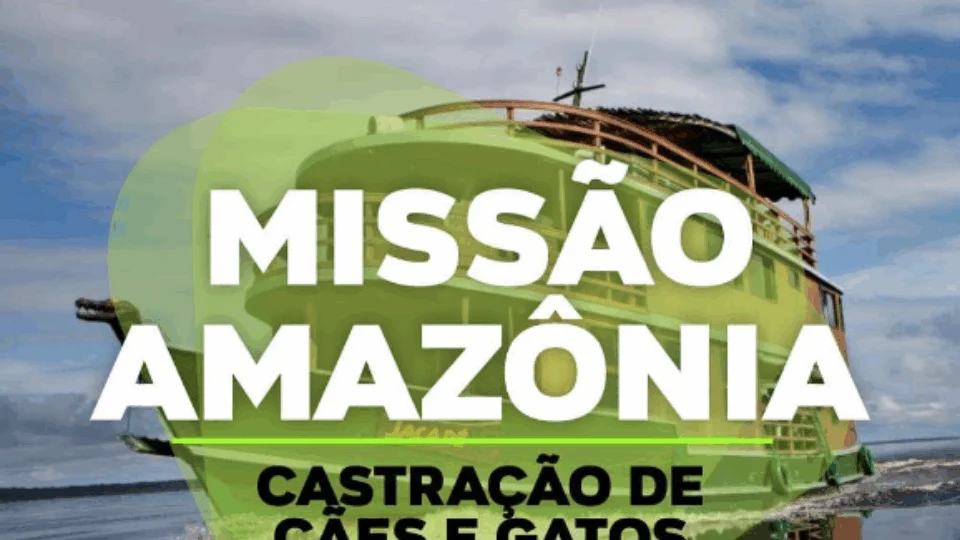 Mega mutirão de castração de cães e gatos deve atender comunidades ribeirinhas do Amazonas