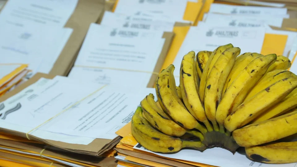 Divulgada lista de credenciados no programa de regionalização da merenda escolar no Amazonas