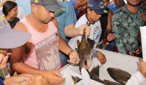 ‘Peixe no Prato’ leva pescado e produtos da agricultura familiar para o bairro Puraquequara
