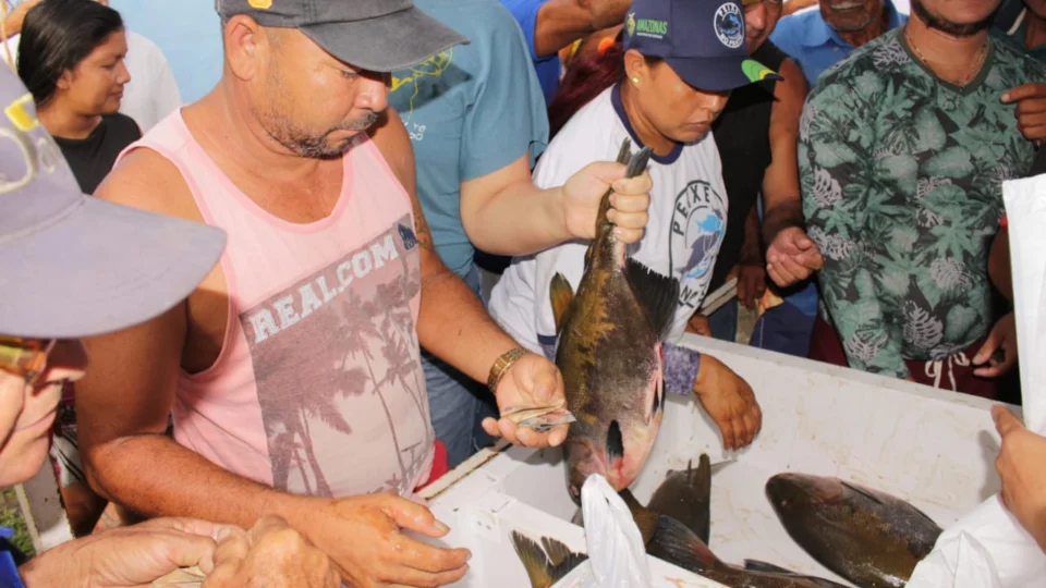 ‘Peixe no Prato’ leva pescado e produtos da agricultura familiar para o bairro Puraquequara