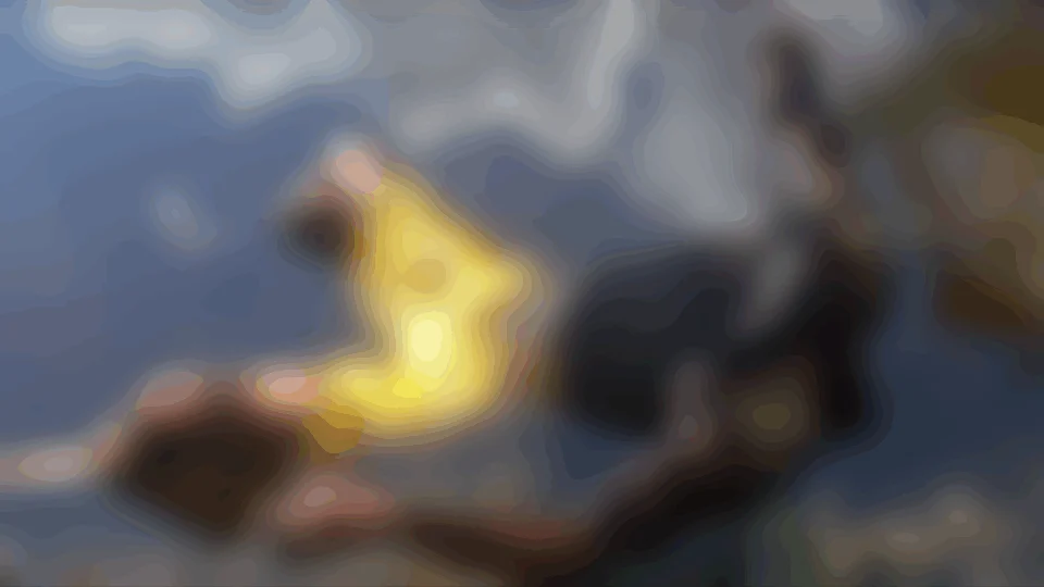 Corpo de idoso é encontrado decapitado em área rural, no Careiro Castanho