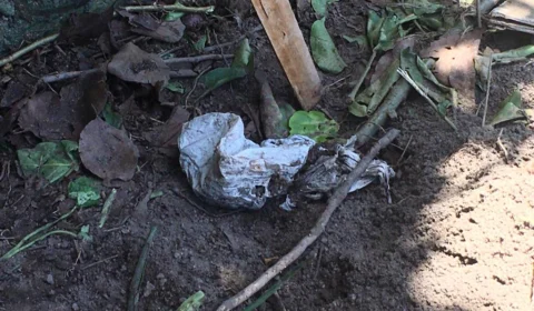 Ossada de criança é encontrada na Cachoeirinha