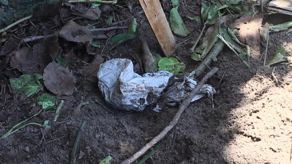 Ossada de criança é encontrada na Cachoeirinha