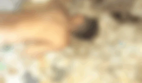 Homem é encontrado morto com sinais de extrema agressão e com cabo de vassoura na garganta