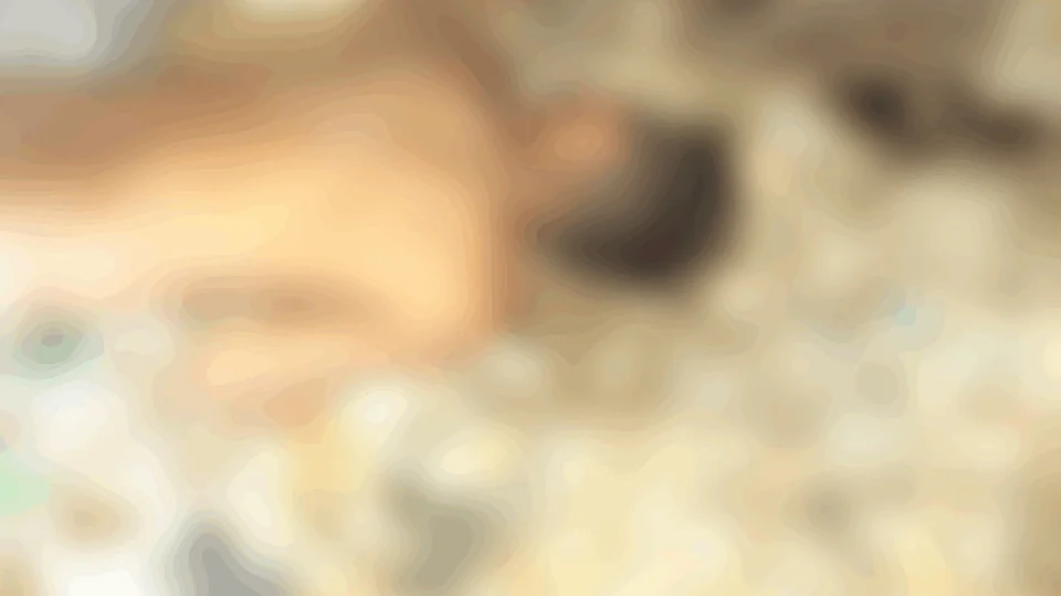 Homem é encontrado morto com sinais de extrema agressão e com cabo de vassoura na garganta