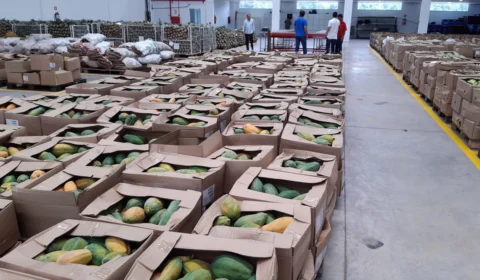 Governo do Amazonas doa 80 toneladas de alimentos para instituições filantrópicas