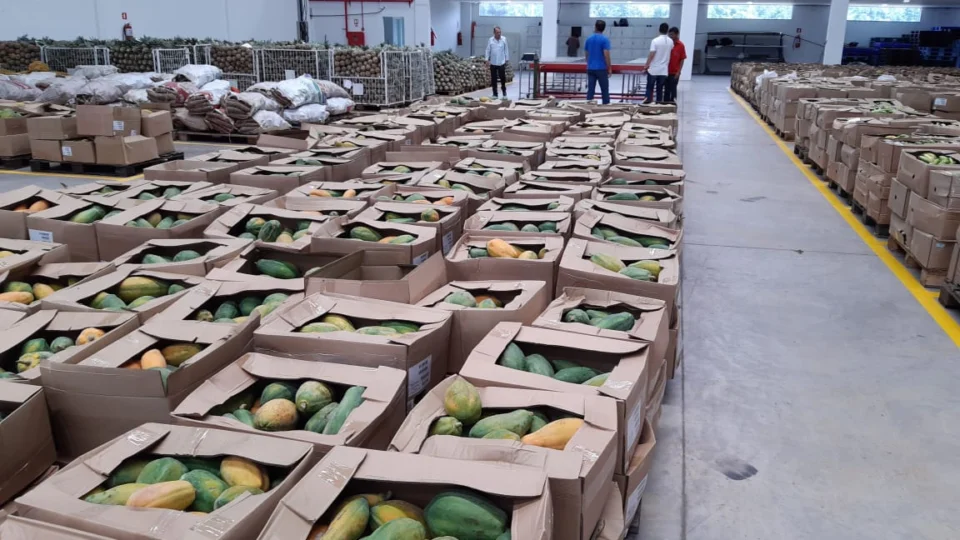 Governo do Amazonas doa 80 toneladas de alimentos para instituições filantrópicas