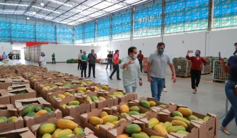 Em Iranduba, Wilson Lima acompanha coleta de alimentos que serão doados a instituições sociais
