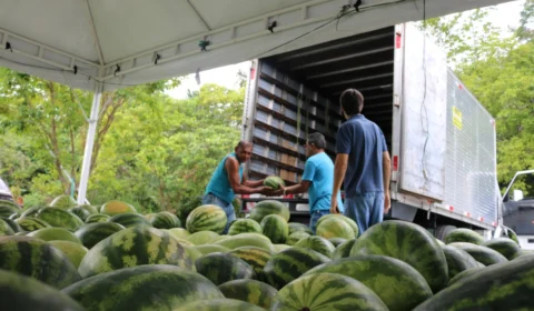 ‘Fala Produtor’ é o canal do Sistema Sepror para atendimento ao setor primário no Amazonas