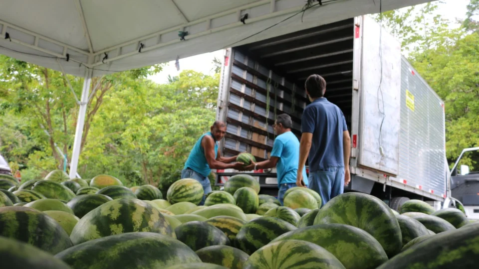 ‘Fala Produtor’ é o canal do Sistema Sepror para atendimento ao setor primário no Amazonas