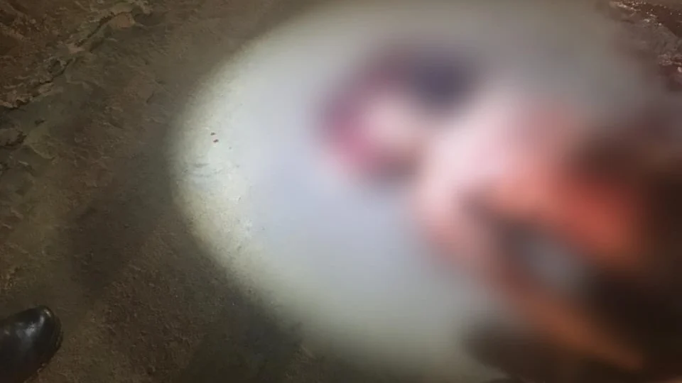 Homem é assassinado com mais de 20 tiros no Distrito 2 e corpo é encontrado por moradores