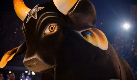 Primeiro ensaio online do Boi Caprichoso utiliza tecnologia para facilitar doações