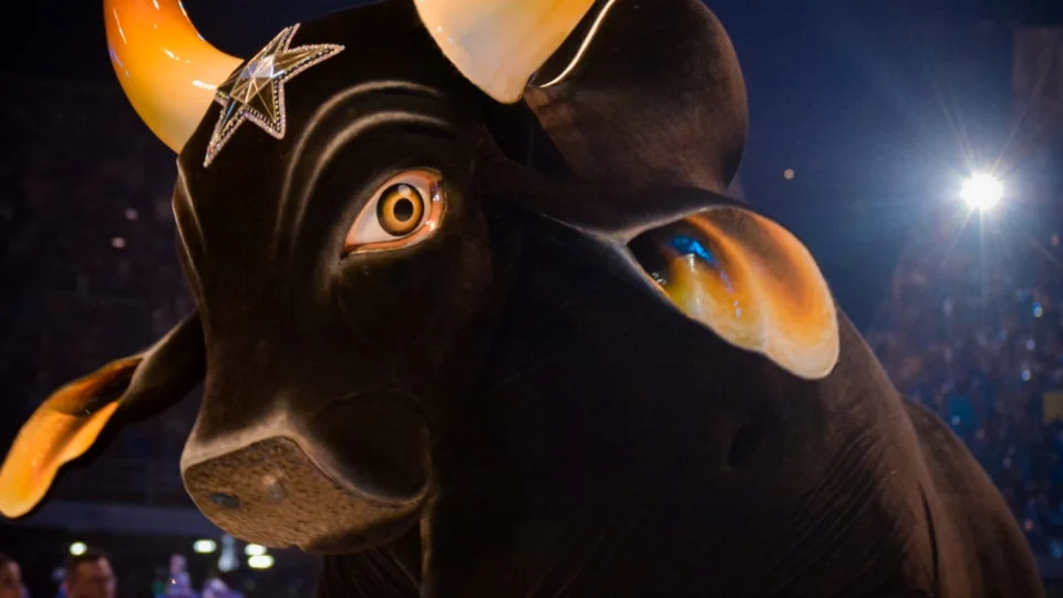 Primeiro ensaio online do Boi Caprichoso utiliza tecnologia para facilitar doações