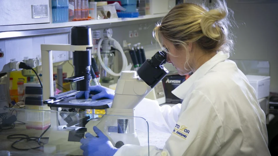 MEC autoriza antecipar formatura de alunos da área de saúde