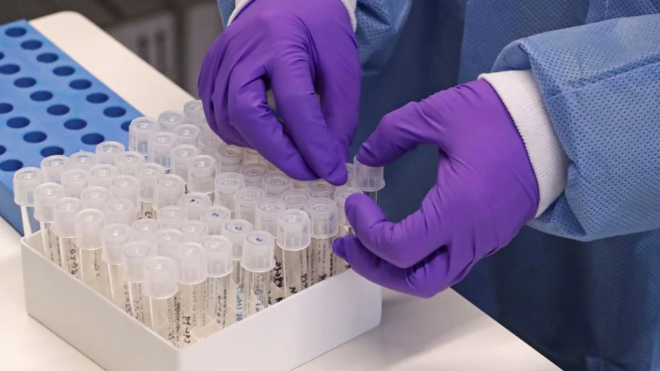 Pandemia : pesquisas buscam entender coronavírus e apontar formas de combate