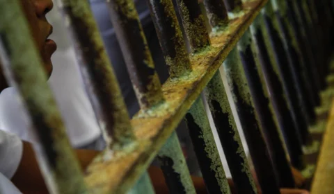 Justiça determina que Estado tome medidas para evitar a proliferação da Covid-19 entre detentos em Tabatinga