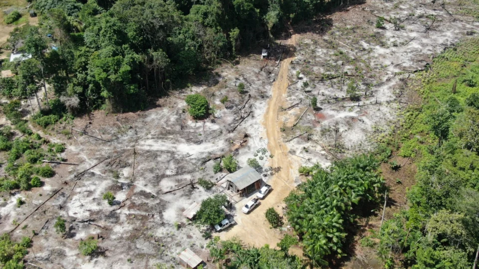 Grupo criminoso responsável por desmatamento ilegal na RDS Rio Negro é desarticulado