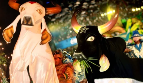 ‘Parintins Live’ movimenta torcedores de Caprichoso e Garantido e arrecada alimentos