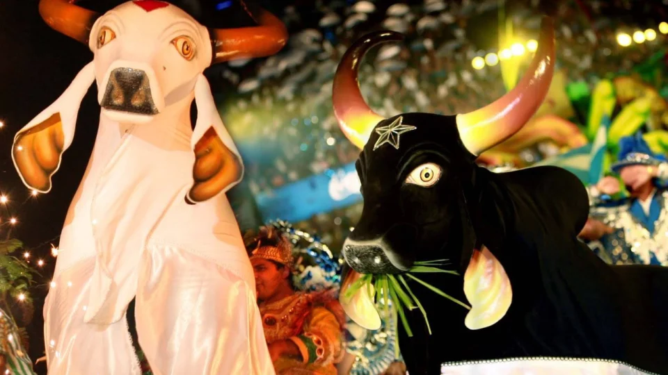 ‘Parintins Live’ movimenta torcedores de Caprichoso e Garantido e arrecada alimentos