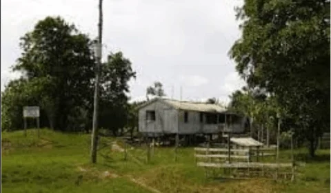 Duas crianças morrem eletrocutadas por fio de alta tensão em Maués (AM)