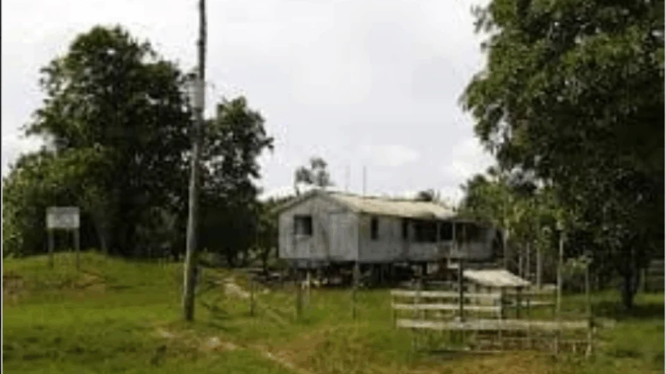 Duas crianças morrem eletrocutadas por fio de alta tensão em Maués (AM)