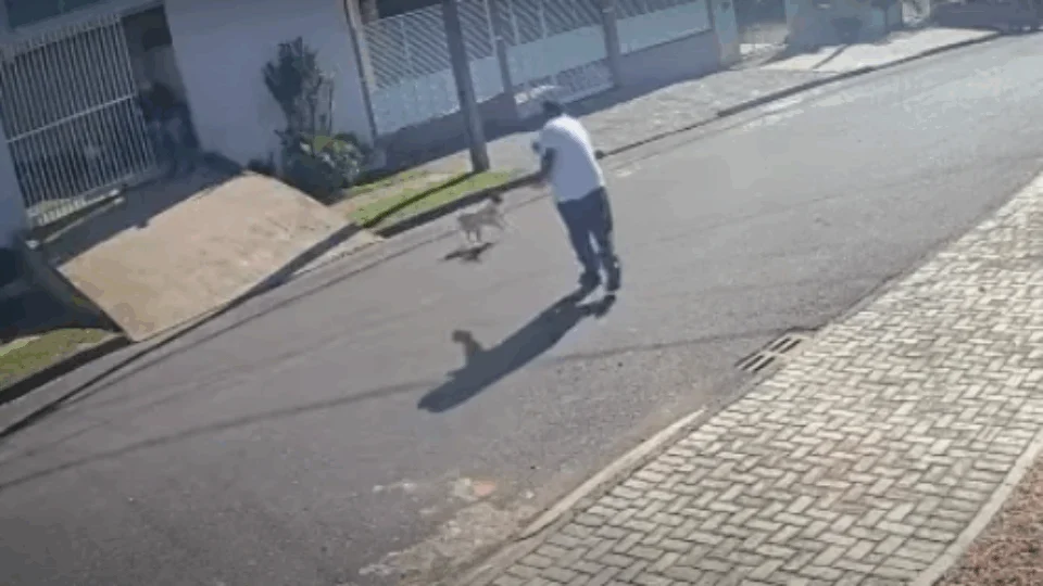 Vídeo: Suposto policial militar é flagrado por câmera de segurança matando cachorro a tiros