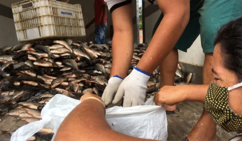 Ação solidária distribui peixes para famílias carentes na zona Oeste