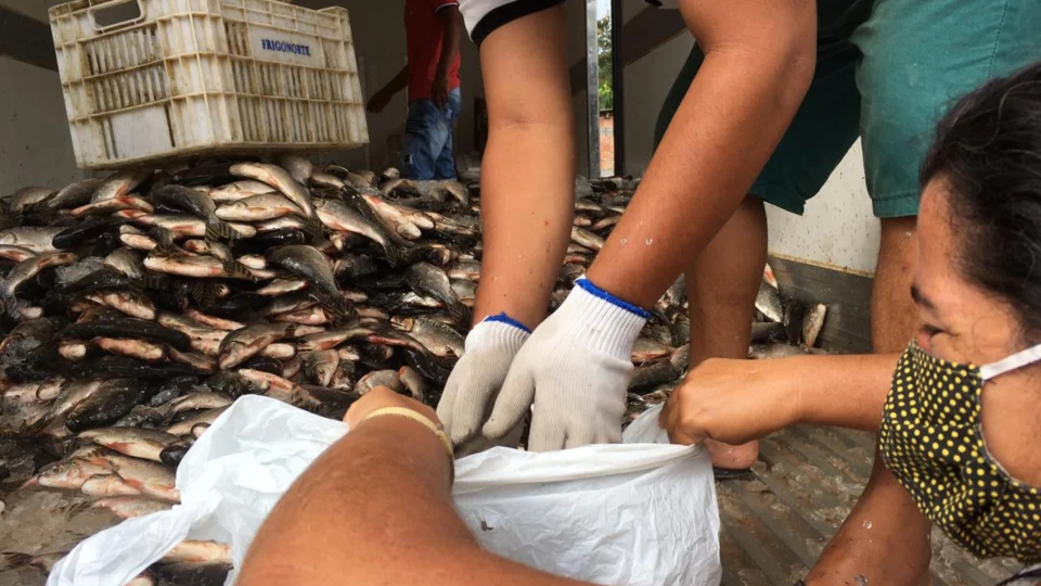 Ação solidária distribui peixes para famílias carentes na zona Oeste