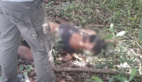 Mulher é estuprada e brutalmente assassinada por homem que segue foragido da polícia