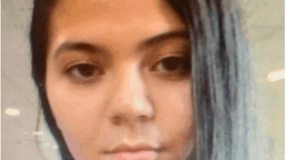 Mulher suspeita de fraudar documentos e cartões de crédito é procurada pela Polícia Civil