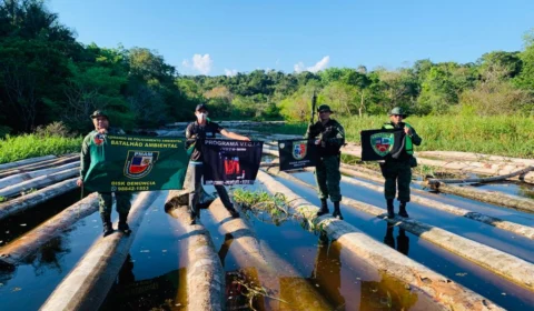 Apreensão de madeira flutuando em rio pela Polícia Ambiental é a maior nos últimos 4 anos no Amazonas