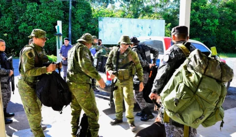Cães farejadores ajudam em buscas por jovem com Síndrome de Down desaparecido em mata no Amazonas