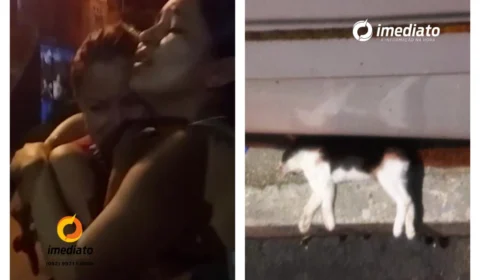 Homem mata gato, espanca namorada e ofende PM no momento da prisão, no Morro da Liberdade