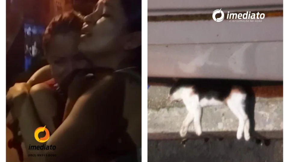 Homem mata gato, espanca namorada e ofende PM no momento da prisão, no Morro da Liberdade