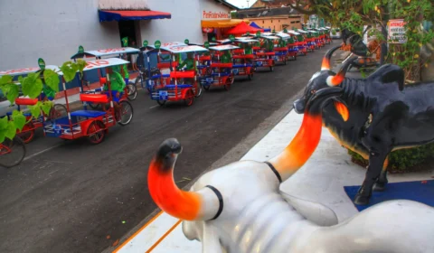 Defensoria abre procedimento para avaliar se Festival de Parintins em novembro é viável