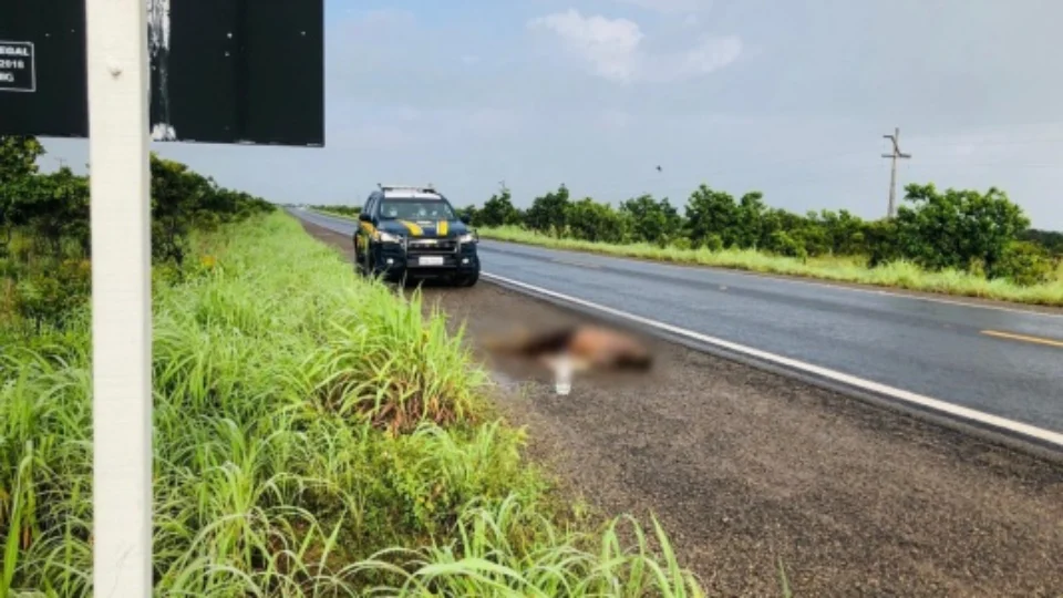 Com marcas de tortura, corpo de homem que pode ter sido morto em ‘tribunal do crime’ é encontrado na BR-174