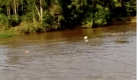 Mulher, filho e neto são vítimas de naufrágio provocado por barco no Amazonas