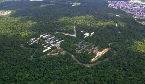 David Almeida propõe criação de parque no entorno da floresta da Ufam