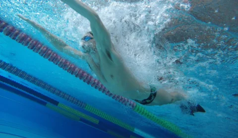 Natação brasileira disputa primeiro torneio desde início da pandemia