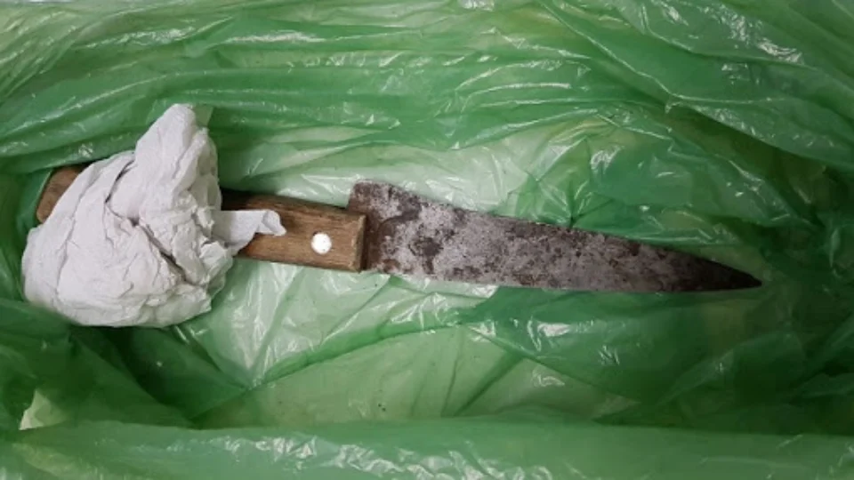 Polícia prende homem que tentou matar mulher a facadas em Manacapuru