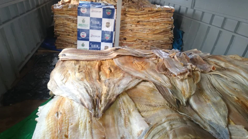 Base Arpão apreende 8,3 toneladas de pirarucu e carne de jacaré em Coari