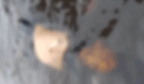 Corpo masculino é encontrado boiando no Igarapé do Educandos