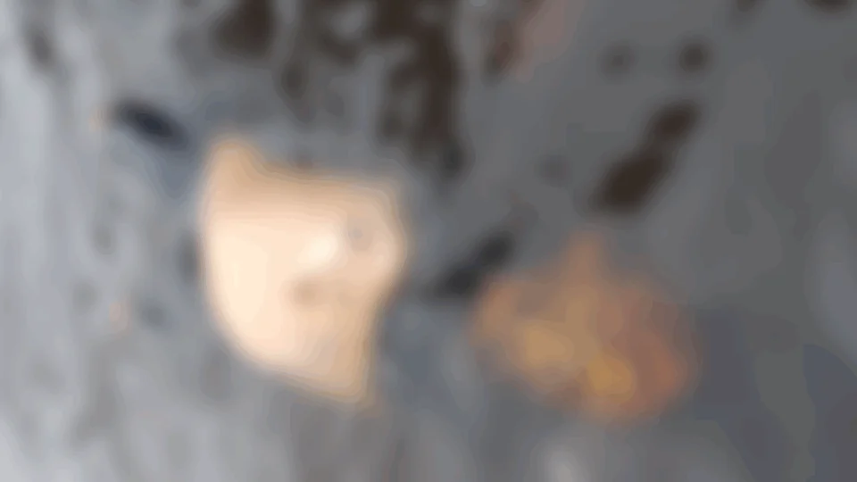 Corpo masculino é encontrado boiando no Igarapé do Educandos