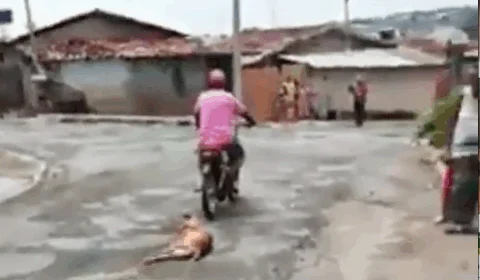 Vídeo: cachorro morre ao ser agredido e arrastado em motocicleta