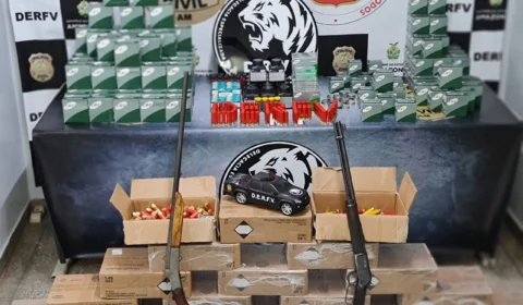 Polícia prende mulher com mais de 20 mil munições clandestinas e rifles