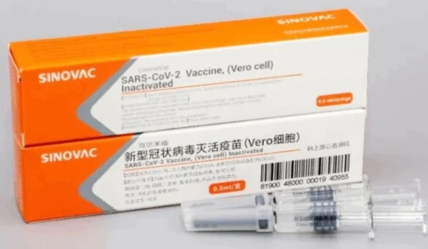 Primeiro lote da CoronaVac com 120 mil doses chega ao Brasil